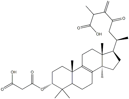 3ALPHA-羧基乙酰氧基-24-亚甲基-23-氧代羊毛甾-8-烯-26-酸 结构式