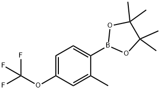 2-Methyl-4-trifluoroMethoxyphenylboronic acid, pinacol ester 结构式