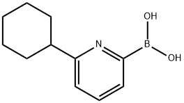 6-CYCLOHEXYLPYRIDINE-2-BORONIC ACID 结构式