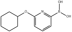 6-(CYCLOHEXYLOXY)PYRIDINE-2-BORONIC ACID 结构式