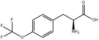 (S)-2-氨基-3-(3-(三氟甲氧基)苯基)丙酸 结构式