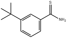 3-叔丁基苯-1-碳硫酰胺 结构式