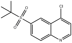 6-(叔丁基磺酰基)-4-氯喹啉 结构式