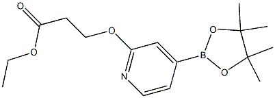 ethyl 3-(4-(4,4,5,5-tetramethyl-1,3,2-dioxaborolan-2-yl)pyridin-2-yloxy)propanoate 结构式