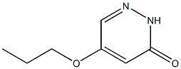 5-丙氧基哒嗪-3(2H)-酮 结构式