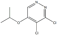 3,4-二氯-5-异丙氧基哒嗪 结构式