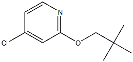 4-氯-2-(新戊氧基)吡啶 结构式