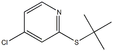 2-(叔丁基硫代)-4-氯吡啶 结构式