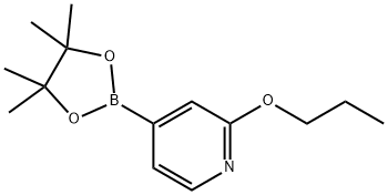 2-Propoxy-4-(4,4,5,5-tetraMethyl-1,3,2-dioxaborolan-2-yl)pyridine 结构式