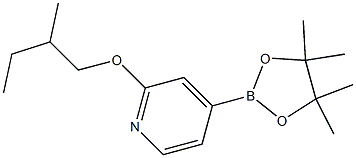 2-(2-甲基丁氧基)-4-(4,4,5,5-四甲基-1,3,2-二氧硼烷-2-基)吡啶 结构式