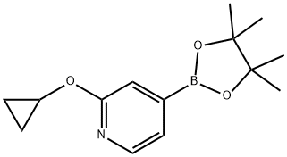 2-CYCLOPROPYLOXYPYRIDINE 4-PINACOLBORONATE 结构式