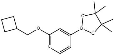 2-(CYCLOBUTYLMETHOXY)-4-(4,4,5,5-TETRAMETHYL-1,3,2-DIOXABOROLAN-2-YL)PYRIDINE 结构式