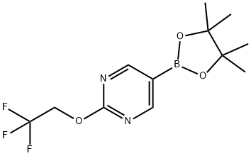5-(4,4,5,5-四甲基-1,3,2-二氧硼杂环戊烷-2-基)-2-(2,2,2-三氟乙氧基)嘧啶 结构式