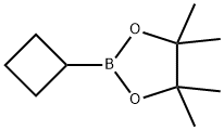 环丁基硼酸频哪醇酯 结构式
