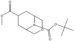 9-叔丁基7-甲基(1R,5S)-3-氧杂-9-氮杂双环[3.3.1]壬烷-7,9-二羧酸 结构式