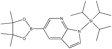 5-(4,4,5,5-四甲基-1,3,2-二氧杂环戊硼烷-2-基)-1-(三异丙基甲硅烷基)-1H-吡咯并[2,3-B]吡啶 结构式