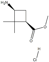 cis-Methyl 3-aMino-2,2-diMethylcyclobutanecarboxylate hydrochloride 结构式