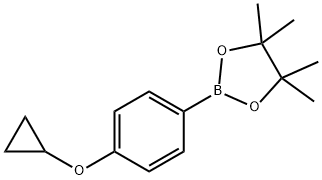 2-(4-环丙氧基苯基)-4,4,5,5-四甲基-1,3,2-二氧硼戊烷 结构式