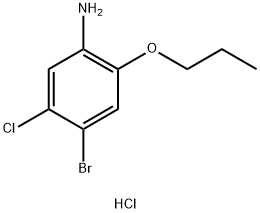 4-溴-5-氯-2-丙氧基苯胺盐酸 结构式