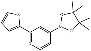 4-(4,4,5,5-tetraMethyl-1,3,2-dioxaborolan-2-yl)-2-(thiophen-2-yl)pyridine 结构式