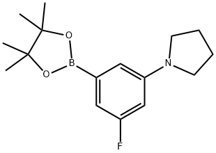 3-氟-5-四氢吡咯-苯硼酸 结构式