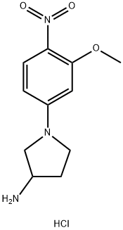1-(3-甲氧基-4-硝基-苯基)-吡咯烷-3-基胺盐酸盐 结构式