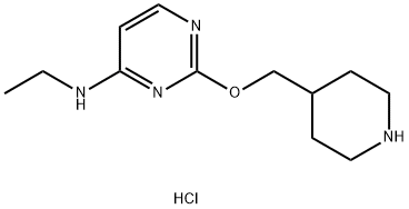 乙基-[2-(哌啶-4-基甲氧基)-嘧啶-4-基]-胺盐酸盐 结构式