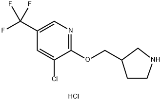 3-氯-2-(吡咯烷-3-基甲氧基)-5-三氟甲基-吡啶盐酸盐 结构式