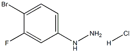 (3-氟-4-溴苯基)肼盐酸盐 结构式