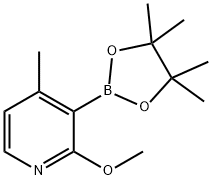 2-甲氧基-4-甲基-3-吡啶硼酸片呐酯 结构式