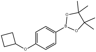 2-(4-Cyclobutoxy-phenyl)-4,4,5,5-tetraMethyl-[1,3,2]dioxaborolane 结构式
