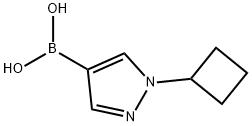 (1-Cyclobutylpyrazol-4-yl)boronic acid 结构式