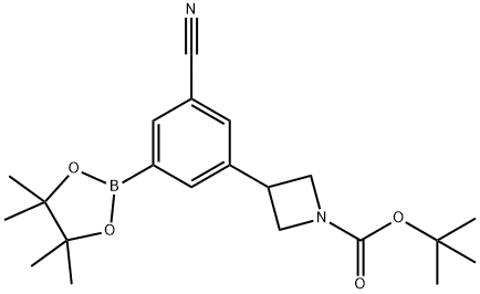 4-(5,5-二甲基-1,3,2-二氧杂硼杂环-2-基)-3,6-二氢吡啶-1(2H)-羧酸叔丁酯 结构式