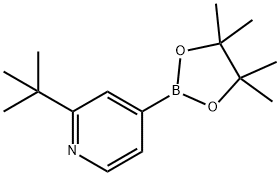 2-叔丁基-4-吡啶硼酸频那醇酯 结构式