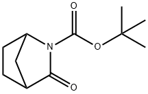 3-氧代-2-氮杂双环[2.2.1]庚烷-2-羧酸叔丁酯 结构式