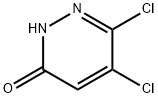 5,6-二氯哒嗪-3(2H)-酮 结构式