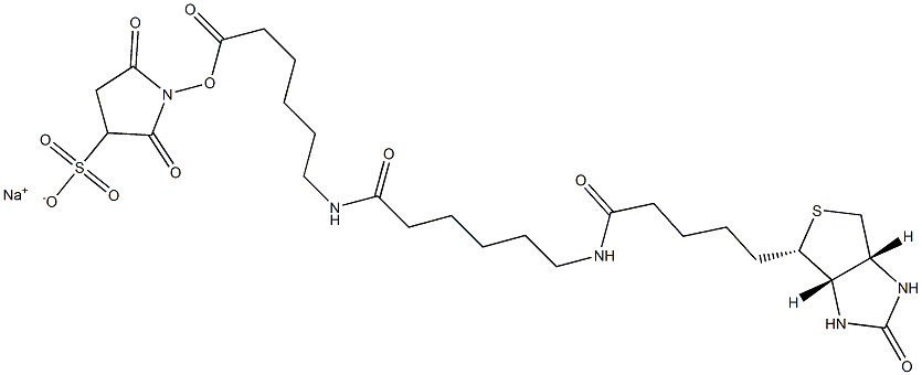 6-[[6-[[5-[(3AS,4S,6AR)-六氢-2-氧代-1H-噻吩并[3,4-D]咪唑-4-基]-1-氧代戊基]氨基]-1-氧代己基]氨基]-己酸 2,5-二氧代-3-磺基-1-吡咯烷基酯钠盐 结构式