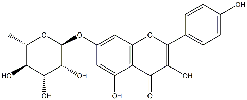 山奈酚-7-O-鼠李糖苷 结构式