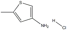 5-甲基噻吩-3-胺盐酸盐 结构式