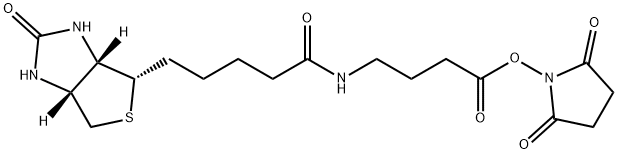 BIOTIN-丁氨酸-NHS 结构式