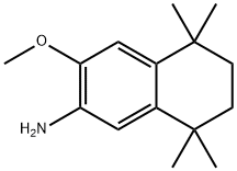 3-甲氧基-5,5,8,8-四甲基-5,6,7,8-四氢萘-2-胺 结构式