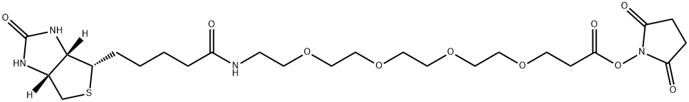 21-[(3AS,4S,6AR)-六氢-2-氧代-1H-噻吩并[3,4-D]咪唑-4-基]-17-氧代-4,7,10,13-四氧杂-16-氮杂二十一碳酸 2,5-二氧代-1-吡咯烷基酯 结构式