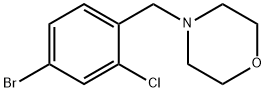 4-(4-溴-2-氯苯甲基)吗啉 结构式
