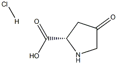 L-4-氧代脯氨酸 结构式