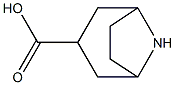 exo-8-Azabicyclo[3.2.1]octane-3-carboxylic acid hydrochloride 结构式
