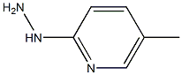 1-(5-methylpyridin-2-yl)hydrazine 结构式