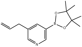 3-(2-丙烯-1-基)-5-(4,4,5,5-四甲基-1,3,2-二噁硼烷-2-基)-吡啶 结构式