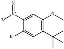 1-溴-5-叔丁基-4-甲氧基-2-硝基苯 结构式