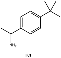 1-(4-tert-Butylphenyl)ethanaMine HCl 结构式