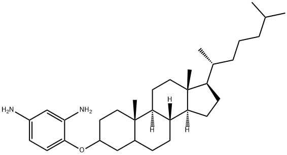4-(胆甾烷-3-基氧基)-1,3-苯二胺 结构式